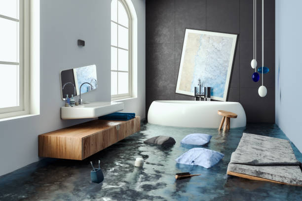 Best Water damage restoration near me  in Albers, IL