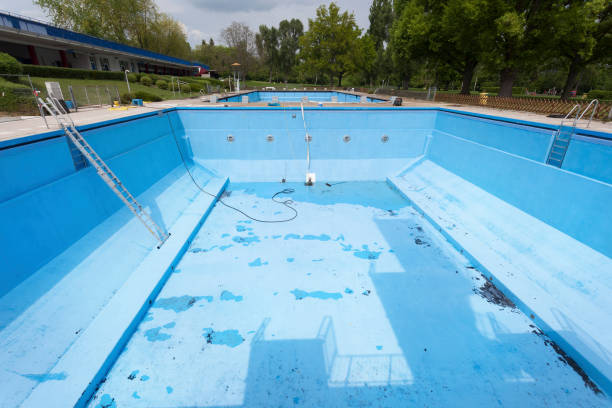 Best Local water damage restoration  in Albers, IL