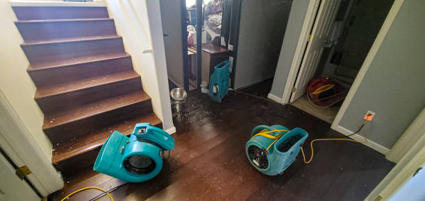  Albers, IL Water damage restoration Pros