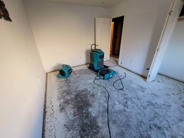 Best Sewage cleanup and water damage restoration  in Albers, IL