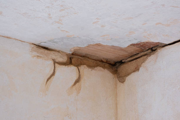Best Water damage restoration near me  in Albers, IL