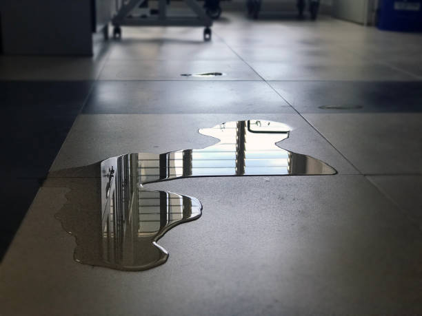 Best Water damage restoration process  in Albers, IL