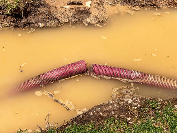 Best 24-hour water damage restoration  in Albers, IL